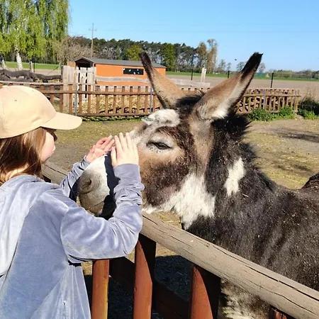 2-pokojowy, Z Atrakcjami Dla Dzieci Kolonia Salnia