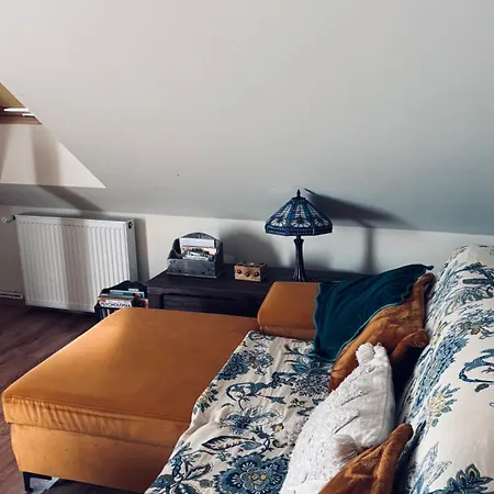 Apartament 2-Pokojowy Przy Ranczu Apartmán Kolonia Salnia